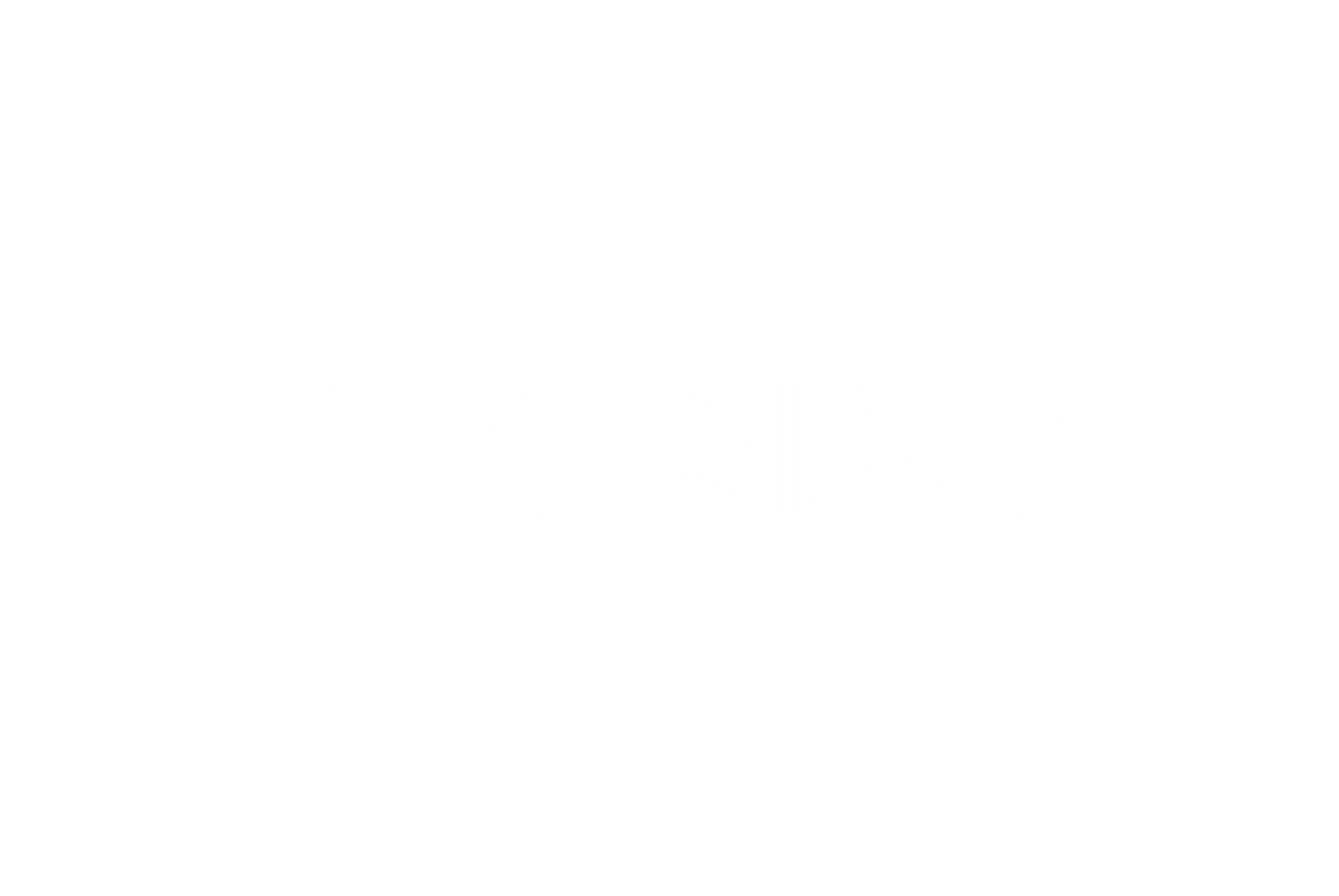 Besserwisser