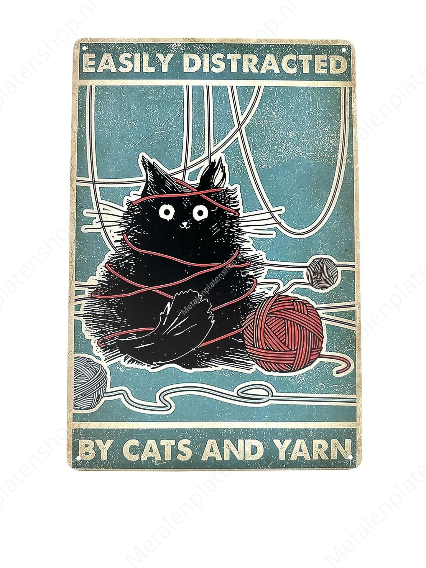 Lustige Katze - Leicht ablenkbar - Katzen
