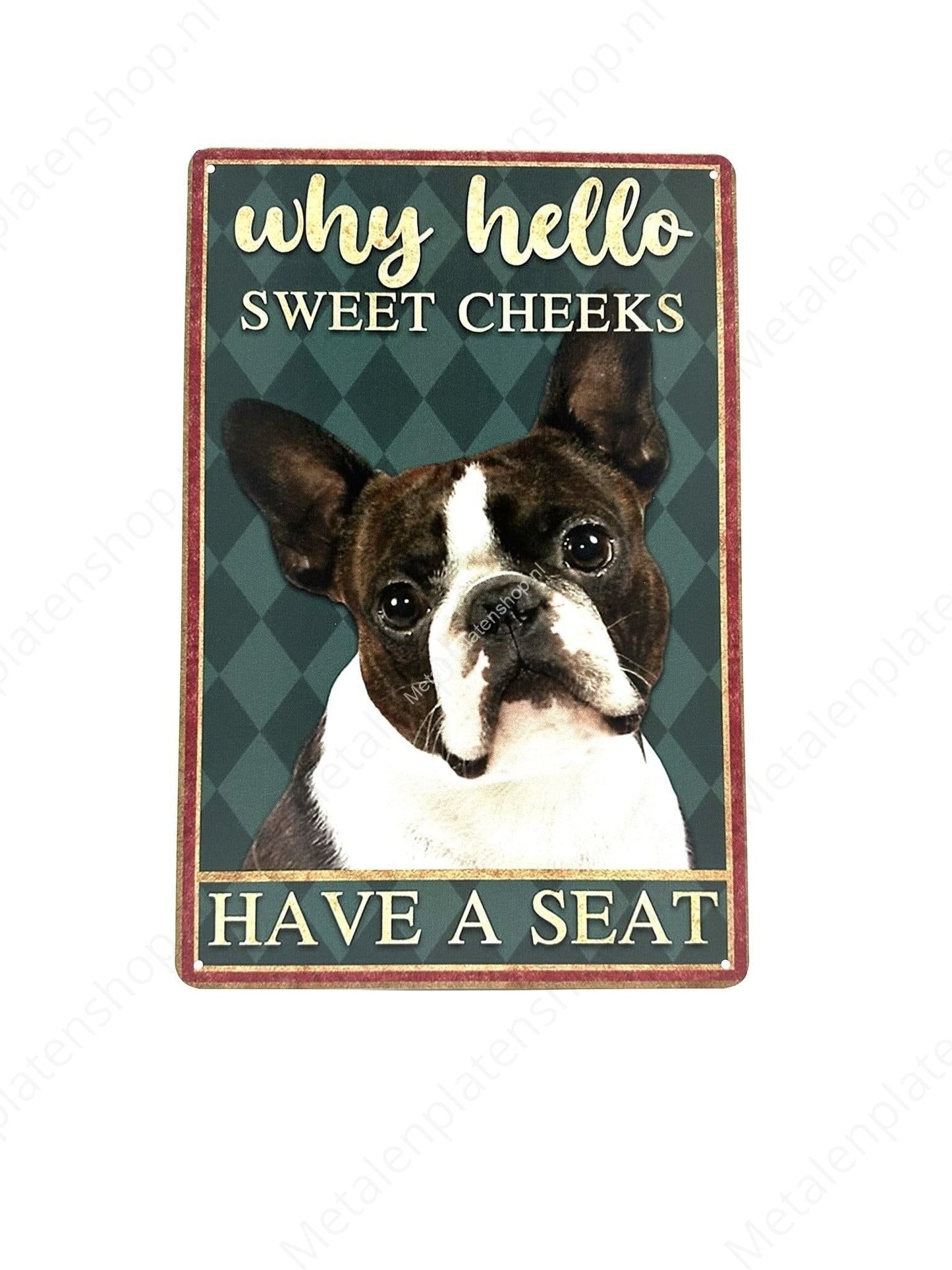 Why Hello Dog - Metal Wall Sign