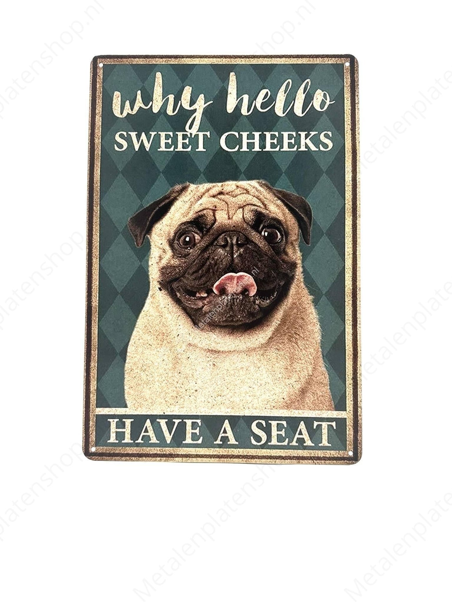 Why Hello - Pug - Metal Wall Sign