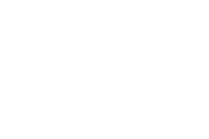 Besserwisser