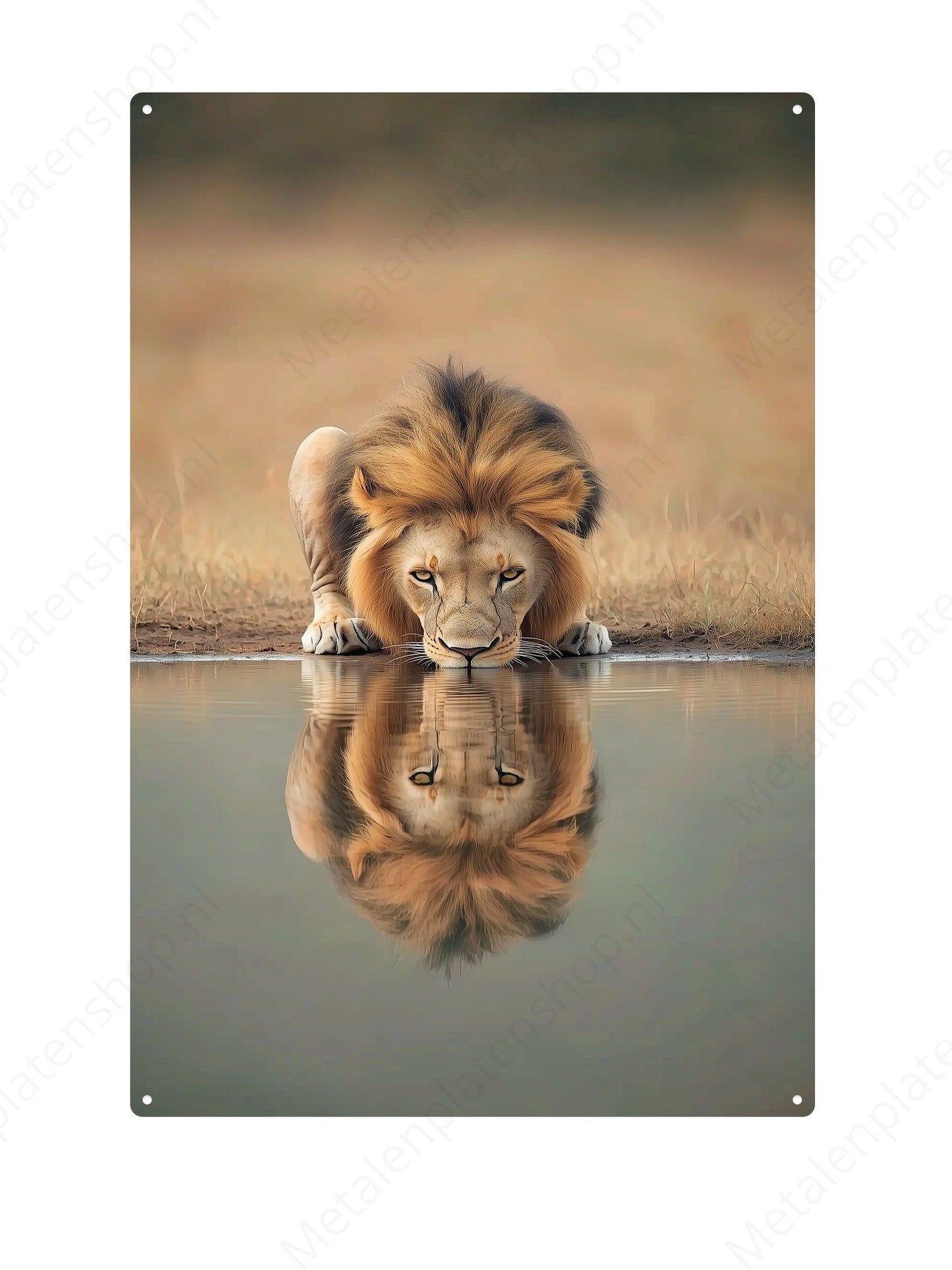 Lion - Metal Wall Sign