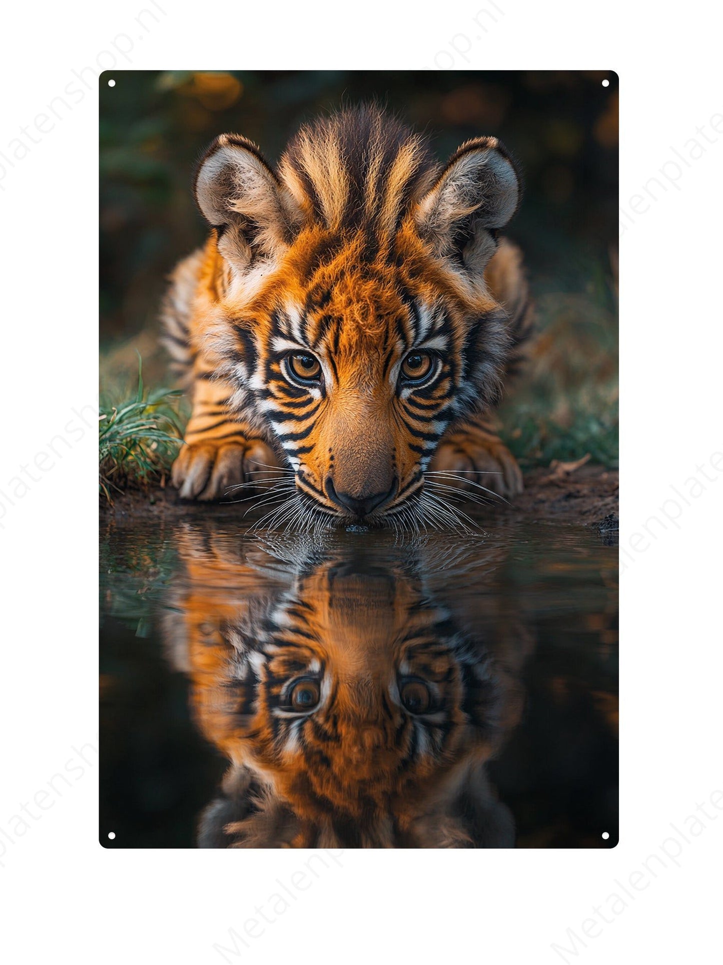 Tiger - Metal Wall Sign 