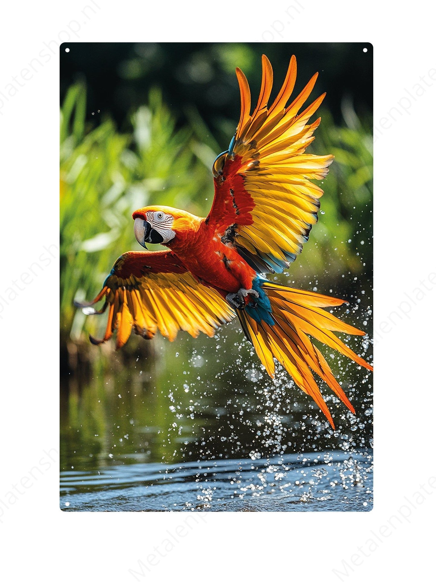 Parrot - Metal Wall Sign