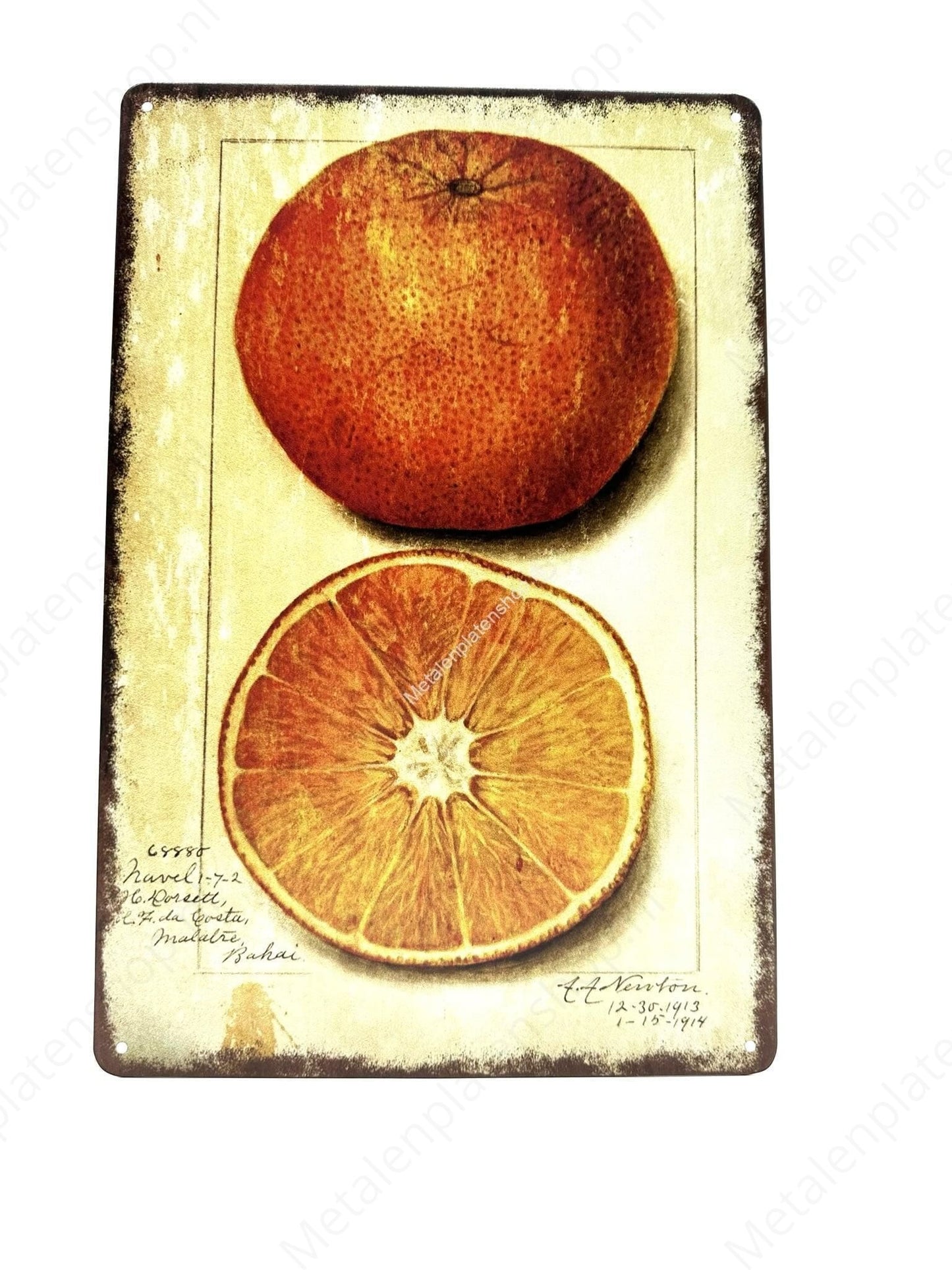 Orange - Metallwandschild