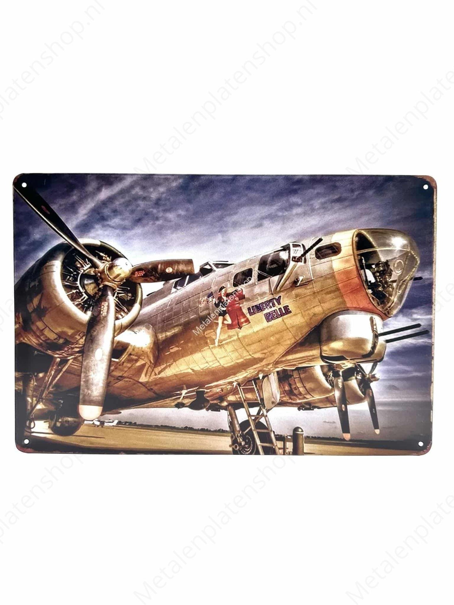 Airplane - Liberty Belle - Metal Wall Sign
