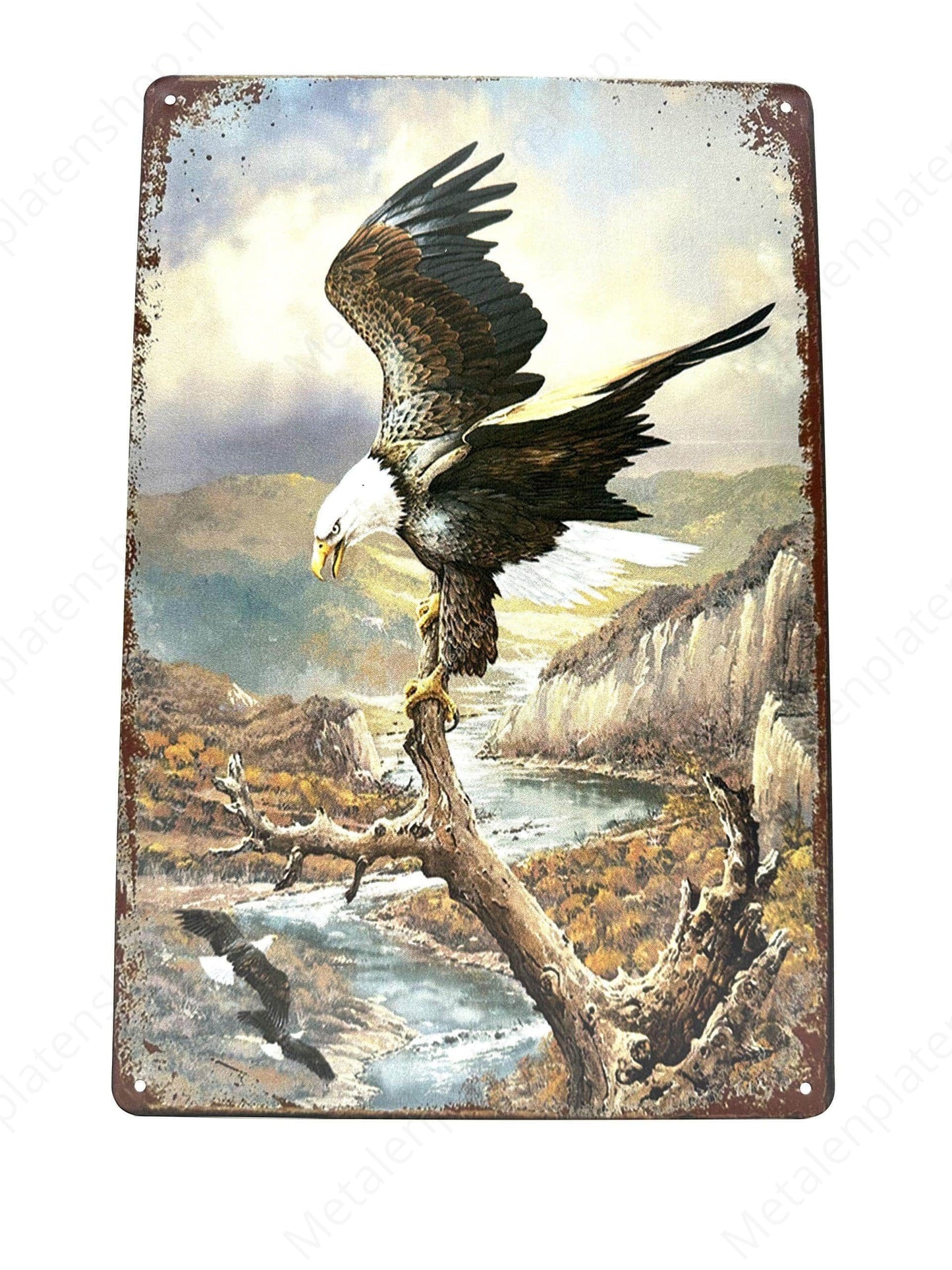 Eagle - Eagle - Metal Wall Sign