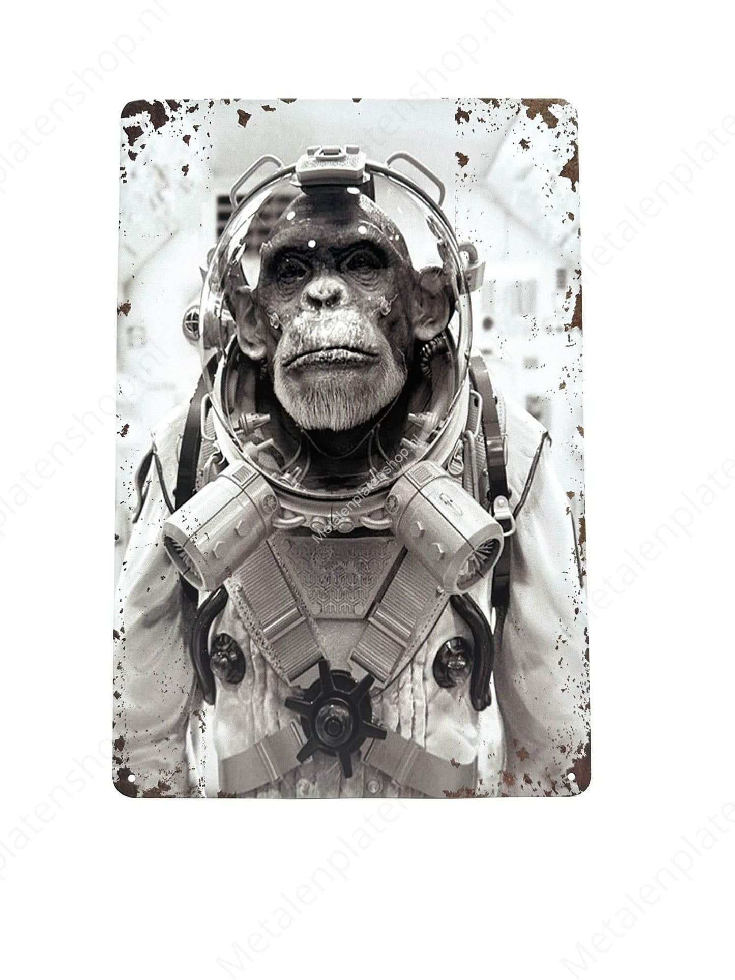 Affe Astronaut - Metall Wandschild